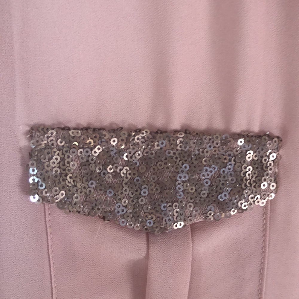 Blu Pepper Sheer Glitter Blouse - Picture 6 of 9